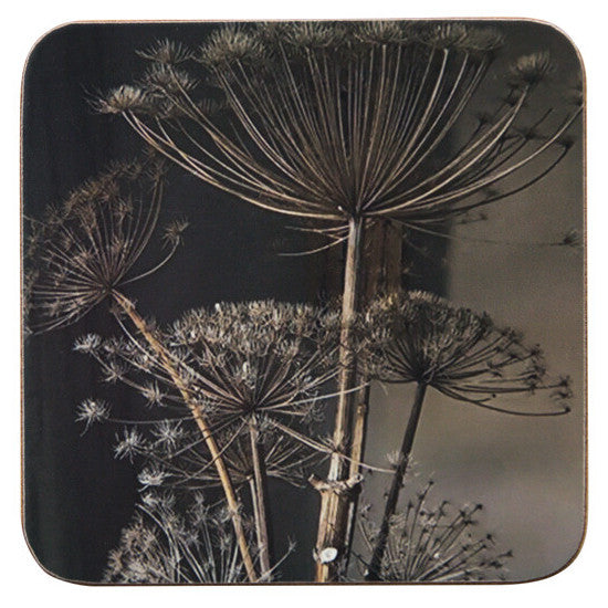 Onderzetters set-van-6 Berenklauw donker 10x10cm