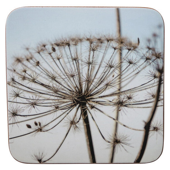 Onderzetters set-van-6 Natuur Berenklauw 10x10cm