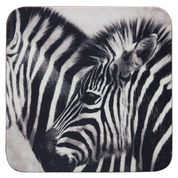 Onderzetters set-van-6 Zebra 10x10cm