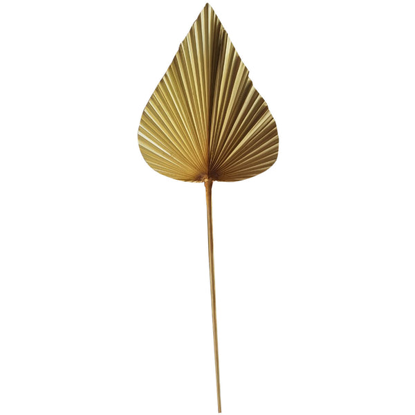 Palmblad Tak Gedroogd 40x20cm