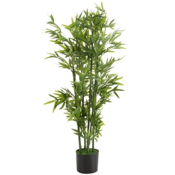 Bamboeplant in Pot S 50x50x130cm