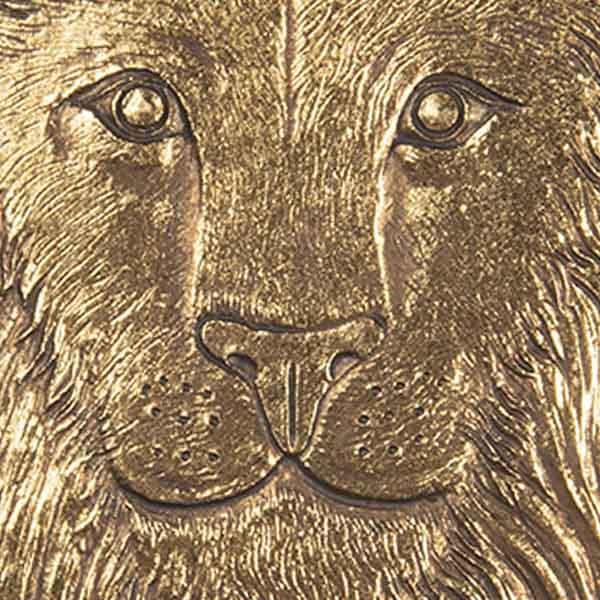 Schaaltje Leeuw goud 14x14x1cm detail