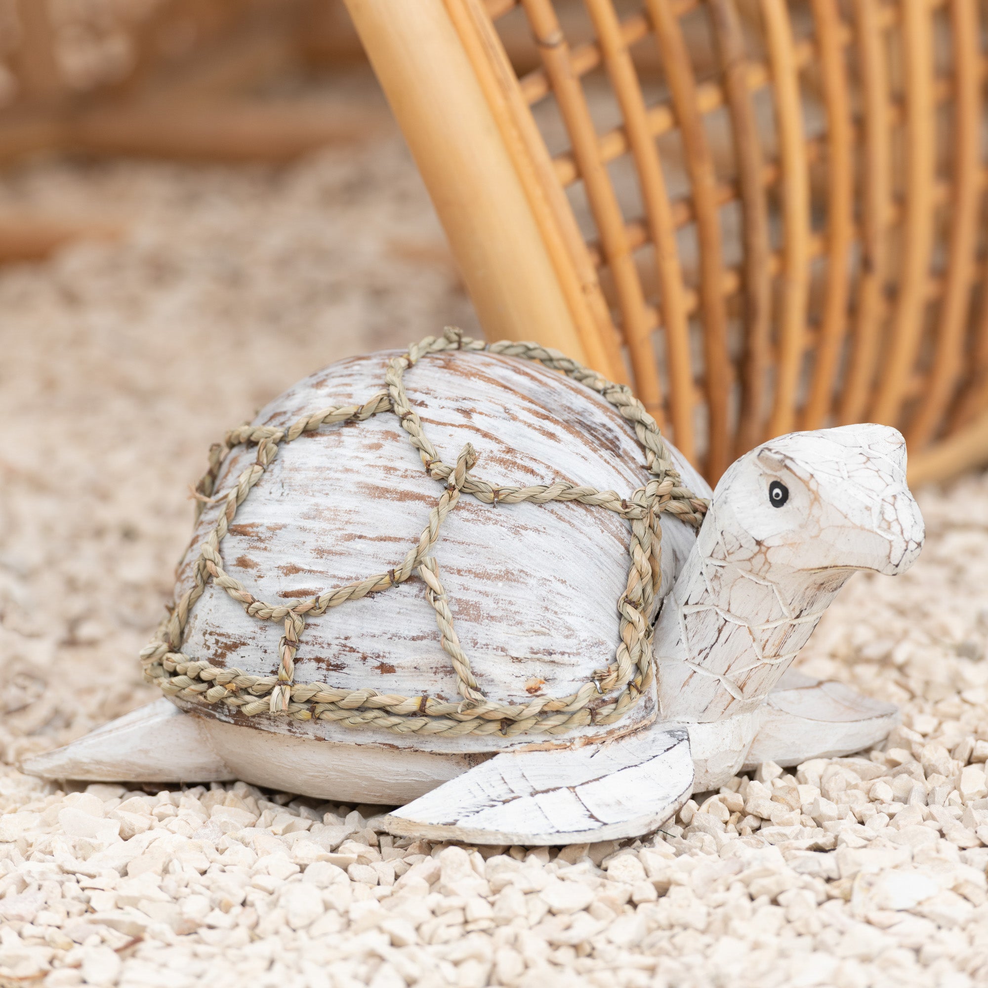 Schildpad Kokosnoot Albasia wit 32x22x14cm